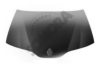 RENAU 7151471641 Bonnet